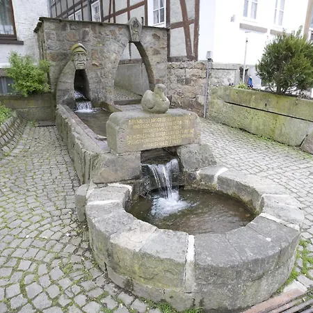 Ξενοδοχείο Schwalenberger Malkasten 3*