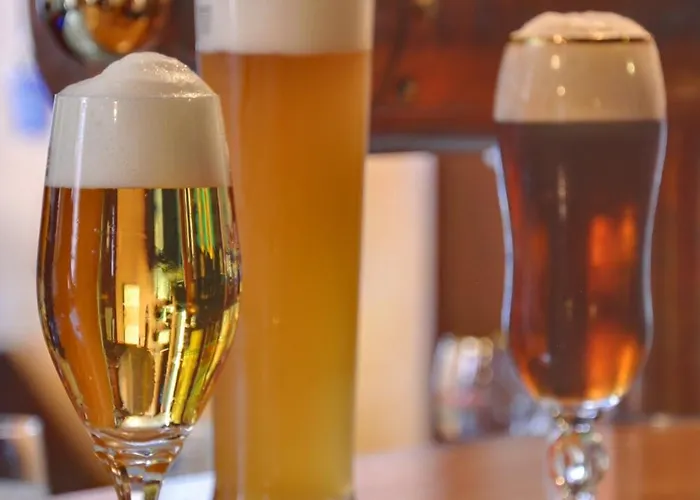 酒店 施瓦伦贝尔马卡斯顿酒店